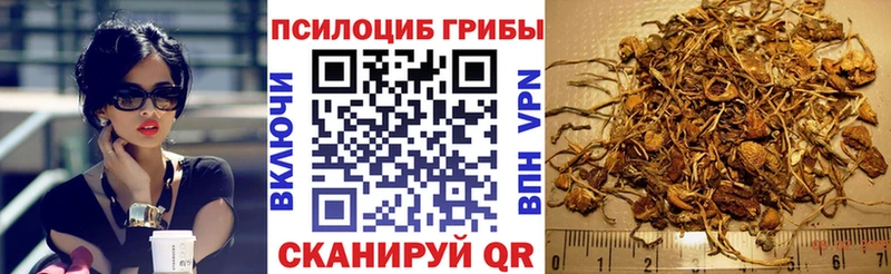 ссылка на мегу зеркало  что такое наркотик  Могоча  Псилоцибиновые грибы Psilocybine cubensis 
